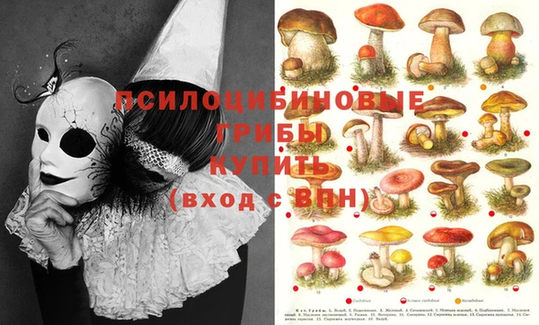 таблы Володарск