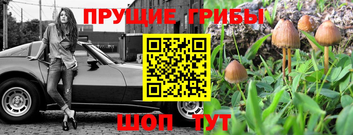 Галлюциногенные грибы GOLDEN TEACHER  Вход с VPN  Симферополь  Псилоцибиновые грибы MAGIC MUSHROOMS 
