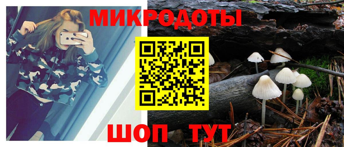 Галлюциногенные грибы Psilocybine cubensis Симферополь